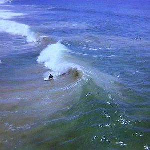 Meet your Posher, Nick